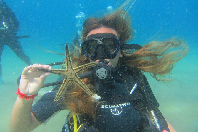 Try a DIVE, discover scuba diving in Mykonos - Your open-water swim at Lia reef: fish, clarity, and a controlled pace