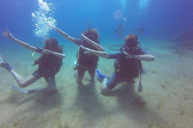 Try a DIVE, discover scuba diving in Mykonos - Who should book this (and who might pass)