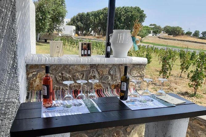 Wine Tasting Tour at a traditional farm in Mykonos - Local Snacks and Pairings: What’s Included with Your Wine