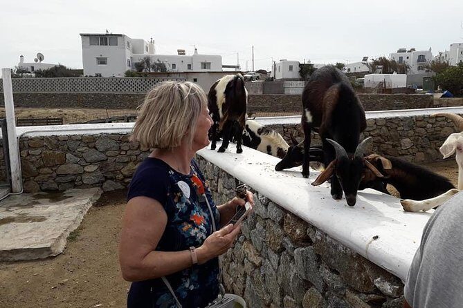 Wine Tasting Tour at a traditional farm in Mykonos - Group Size and Pacing: The Real Feel of This 3-Hour Break