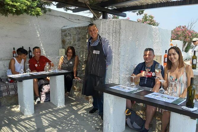 Wine Tasting Tour at a traditional farm in Mykonos - Price and Value: Is $90.70 Fair for Mykonos Wine?