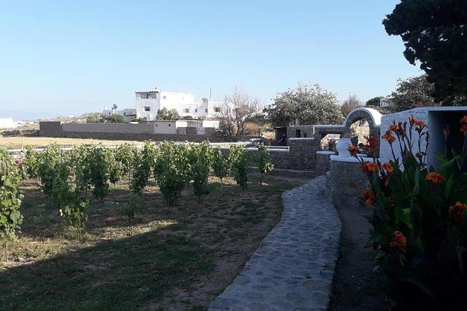 Wine Tasting Tour at a traditional farm in Mykonos - Potential Snags to Watch For Before You Go